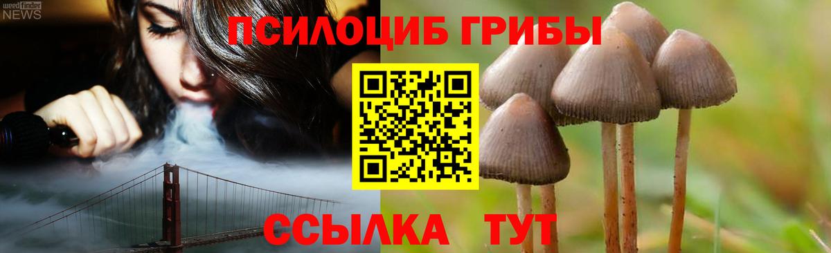 Псилоцибиновые грибы Psilocybine cubensis  Псилоцибиновые грибы GOLDEN TEACHER  Вход с VPN  Новозыбков 