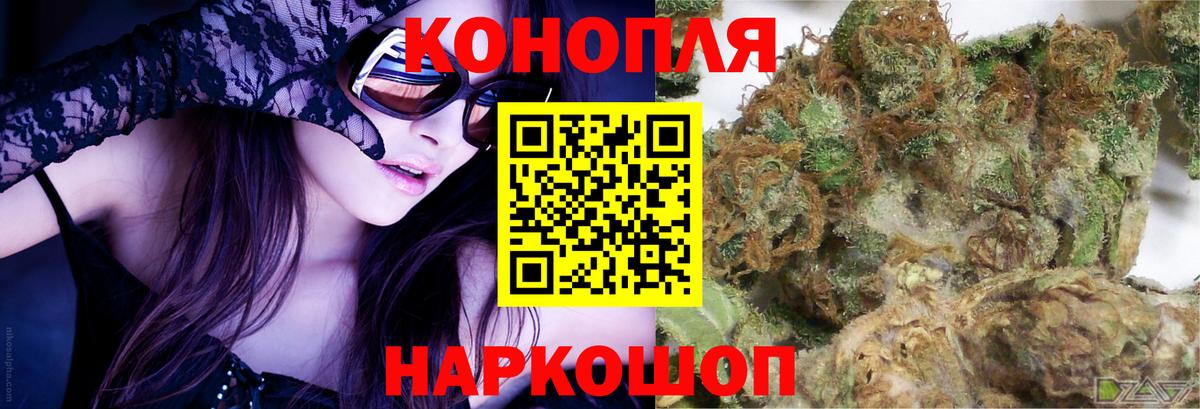 Канабис планчик Новозыбков