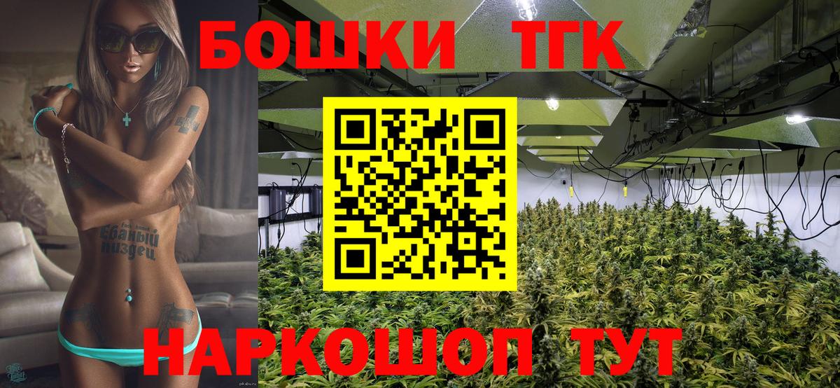 Конопля план  Вход с VPN  Новозыбков  Канабис гибрид  МАРИХУАНА семена 